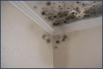 Boca Raton Restoration Expert Boca Raton, FL 561-283-4685 Boca Raton Restoration Expert Boca Raton, FL 561-283-4685